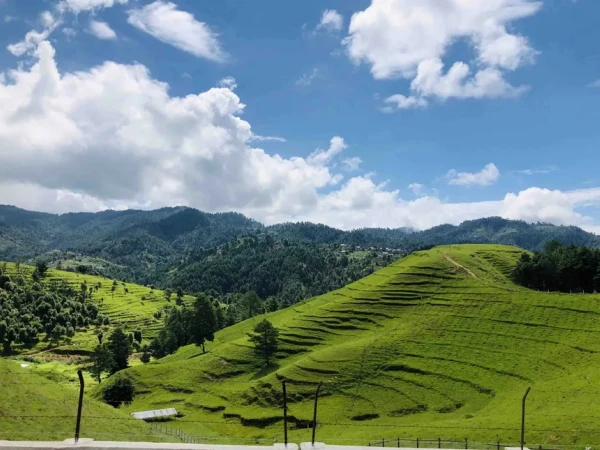 Kulekhani And Chitlang Day Motorbike Tour