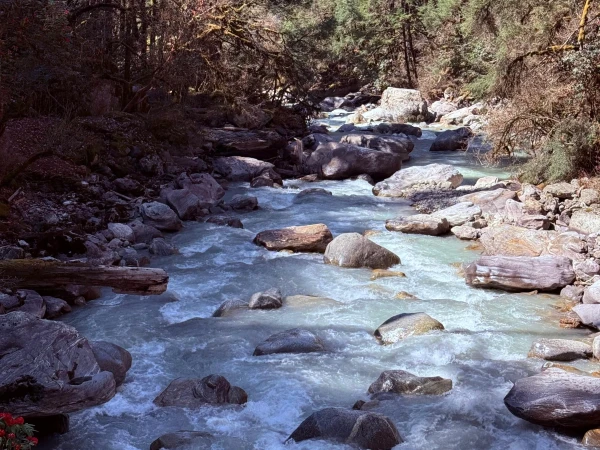 Langtang 9
