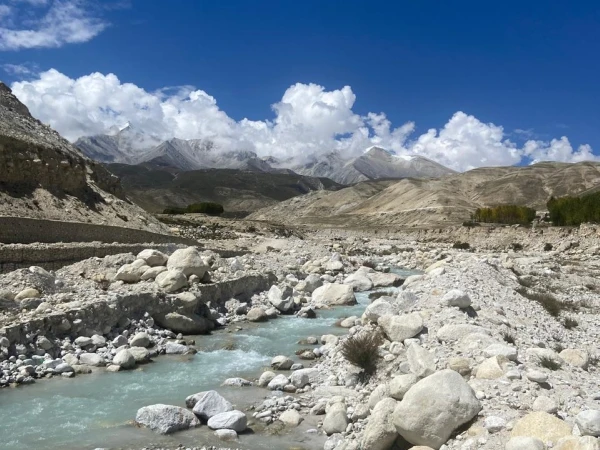 Lower Mustang 9