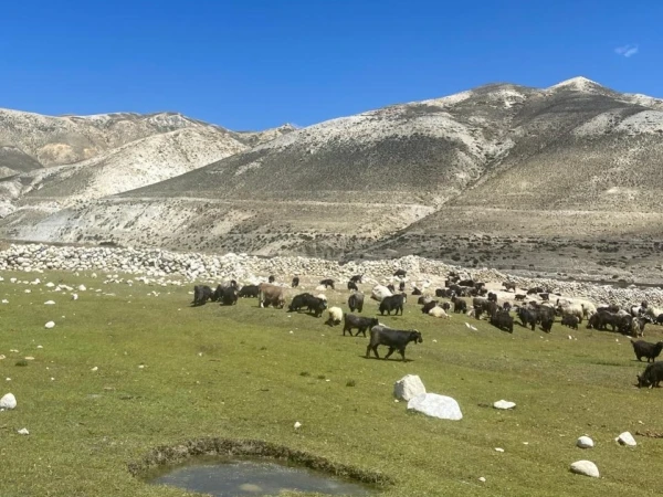 Upper Mustang 6 1